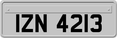 IZN4213