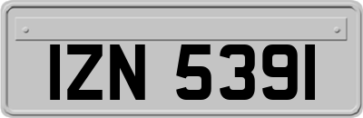 IZN5391