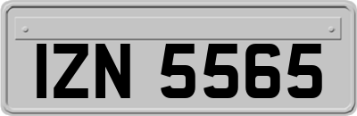 IZN5565