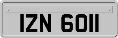 IZN6011