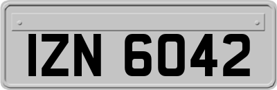 IZN6042