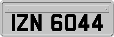IZN6044