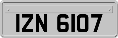 IZN6107