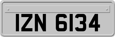 IZN6134