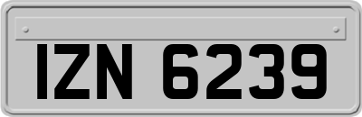 IZN6239