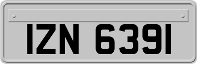 IZN6391
