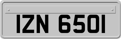 IZN6501