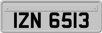 IZN6513