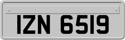 IZN6519
