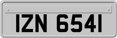 IZN6541