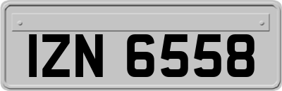 IZN6558