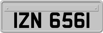 IZN6561