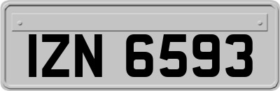 IZN6593