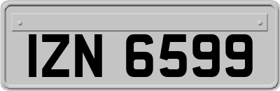 IZN6599