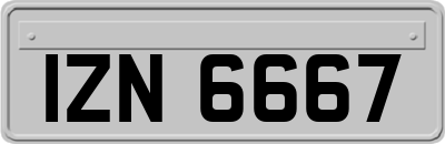 IZN6667