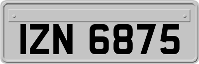 IZN6875
