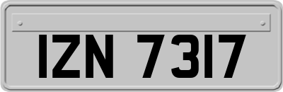 IZN7317