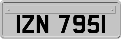 IZN7951
