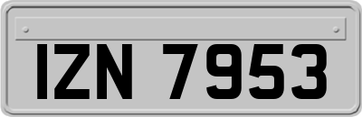 IZN7953