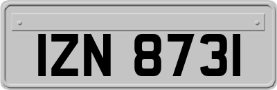 IZN8731