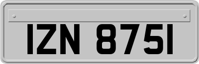 IZN8751