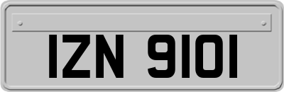 IZN9101