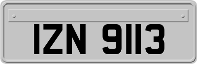IZN9113