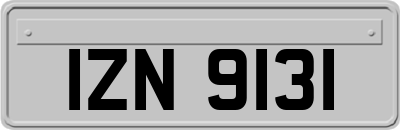 IZN9131