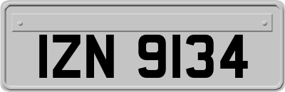 IZN9134