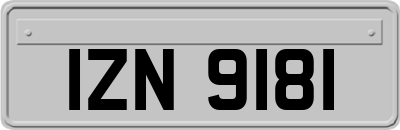 IZN9181