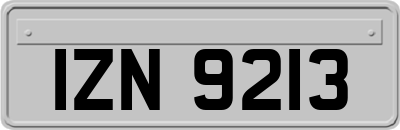 IZN9213