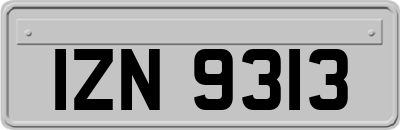 IZN9313