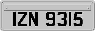 IZN9315