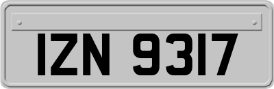 IZN9317