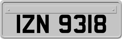 IZN9318