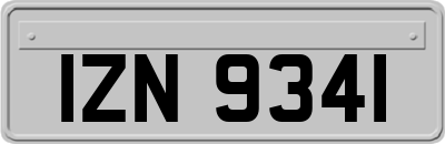 IZN9341