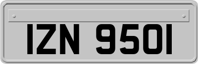 IZN9501