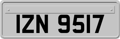 IZN9517
