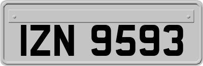IZN9593