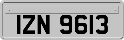 IZN9613