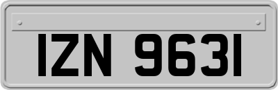 IZN9631
