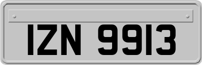 IZN9913