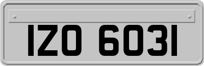IZO6031