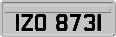IZO8731