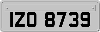 IZO8739