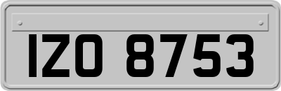 IZO8753