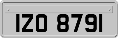 IZO8791