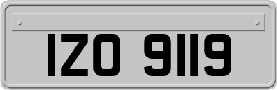 IZO9119