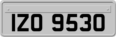 IZO9530