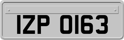 IZP0163